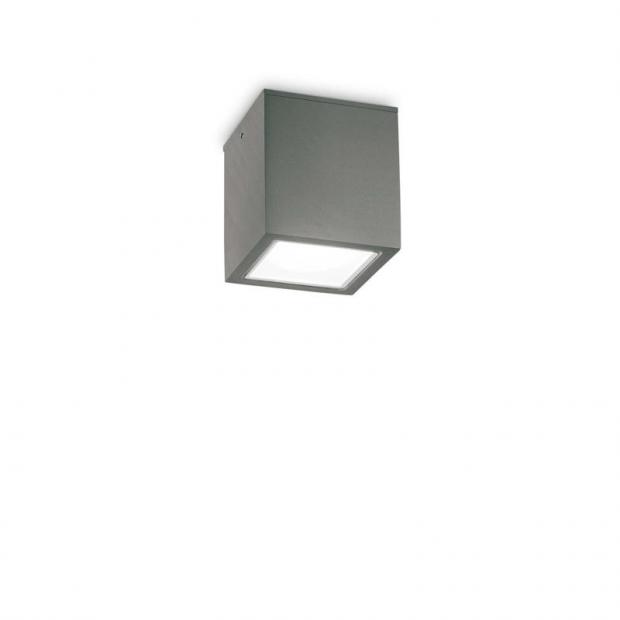 Уличный потолочный светильник Ideal Lux TECHO PL1 SMALL ANTRACITE 251554 TECHO PL1 SMALL ANTRACITE