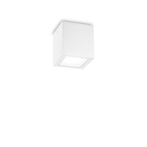 Уличный потолочный светильник Ideal Lux TECHO PL1 SMALL BIANCO 251561 TECHO PL1 SMALL BIANCO